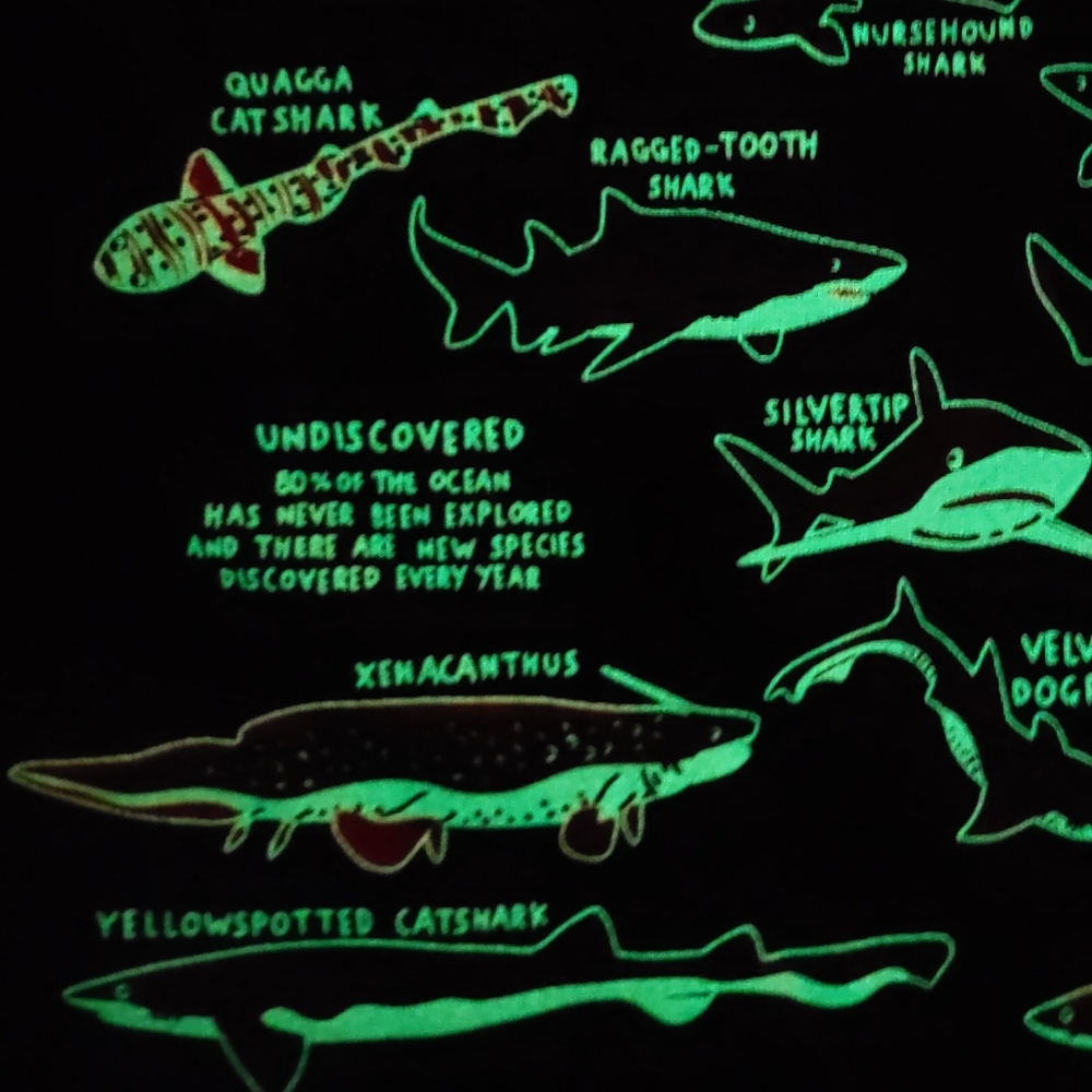 NWT GITD shark tee - Picture 5 of 16